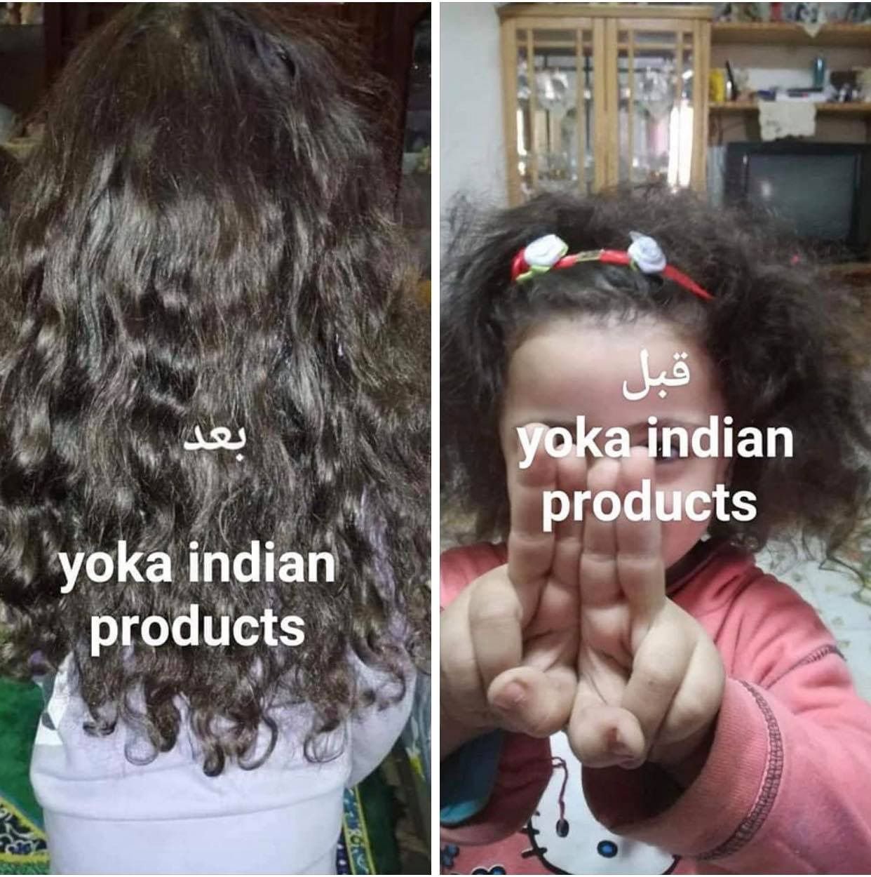 WhatsApp Image 2026-01-08 at 6.46.05 PM