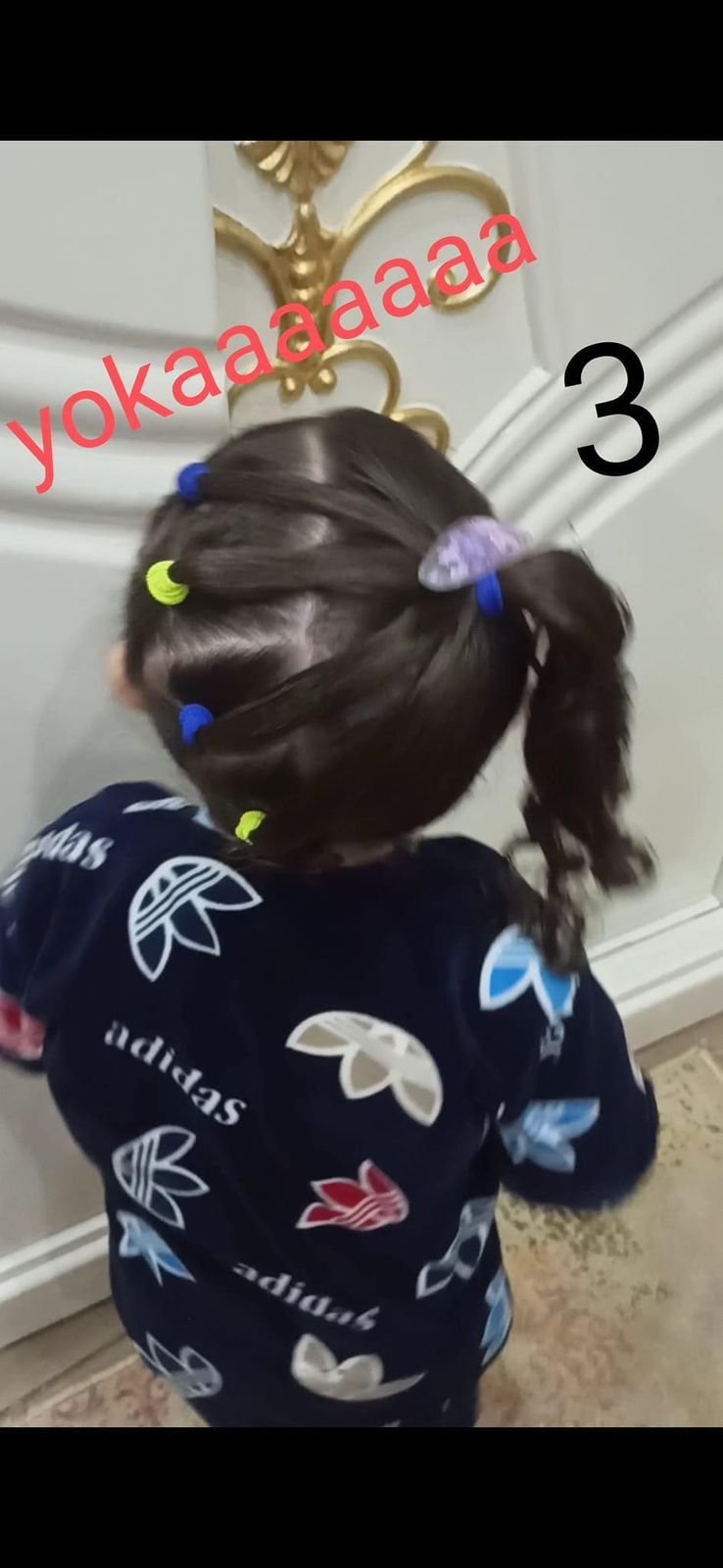 WhatsApp Image 2026-01-08 at 6.46.07 PM (1)